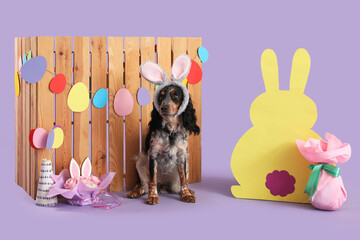 Cute cocker spaniel in bunny ears with Easter cake, gift egg, paper rabbit and wooden fence on...