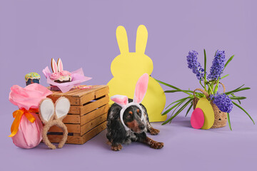 Cute cocker spaniel in bunny ears with Easter cakes, gift egg, paper rabbit and beautiful flowers...