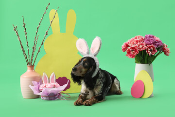 Cute cocker spaniel in bunny ears with Easter cake, willow branches, beautiful tulips, paper eggs...