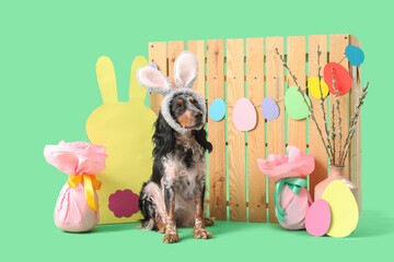 Cute cocker spaniel in bunny ears with Easter gift eggs, paper rabbit, willow branches and wooden...