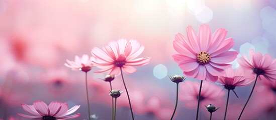 A collection of pink flowers in various stages of bloom, set against a blurred background of a...