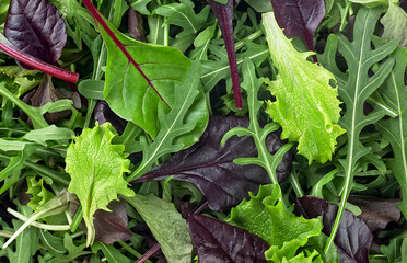 Salad mix leaves as background, top view. Fresh salad with arugula, purple lettuce, spinach, frisee and chard leaves. - 750954874