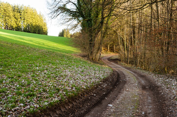 Landscape Spring nature village and fields dirt road in the forest