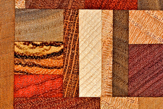 Lignin Images – Browse 1,598 Stock Photos, Vectors, and Video | Adobe Stock