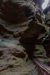 Tiger Snake Canyon, Wollemi National Park, NSW, Australia