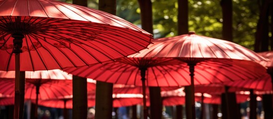 A collection of vibrant red bamboo umbrellas lined up neatly in a row, providing shade from the sun...