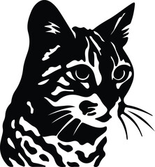 Obraz premium Rusty-spotted Cat portrait