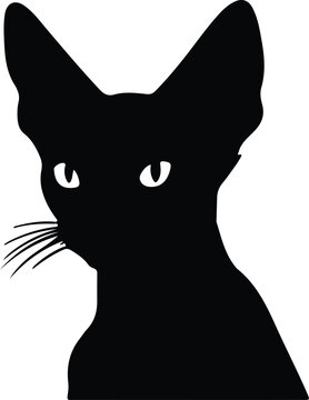recommend clip art: Donskoy Don Sphynx Cat  portrait