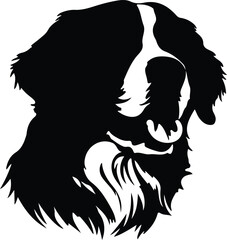 Bernese Mountain Dog  portrait