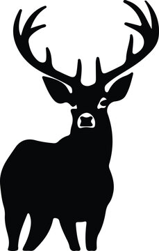 white-tailed deer  silhouette