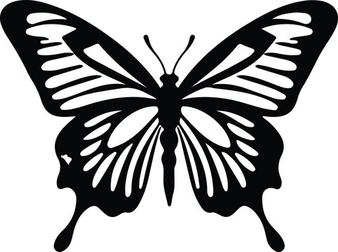 zebra swallowtail butterfly  silhouette