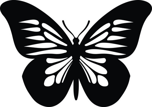 zebra longwing butterfly  silhouette