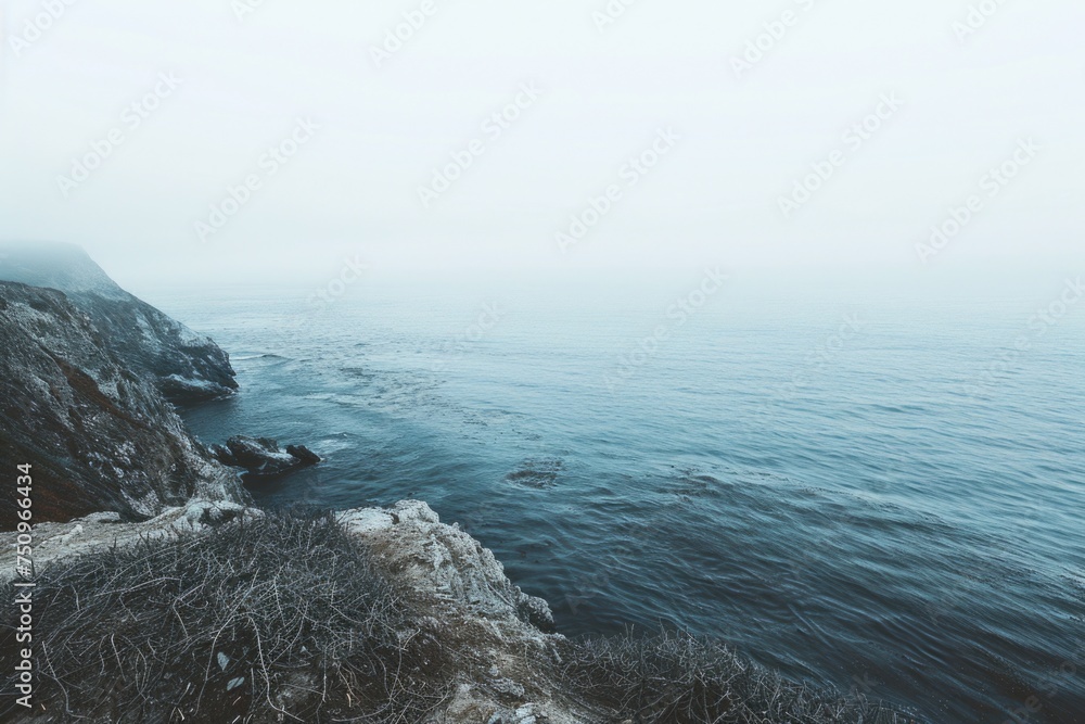 Poster a person standing on top of a cliff by the ocean. perfect for travel or inspirational concepts