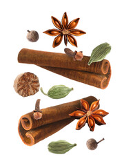 Cinnamon sticks and other aromatic spices falling on white background