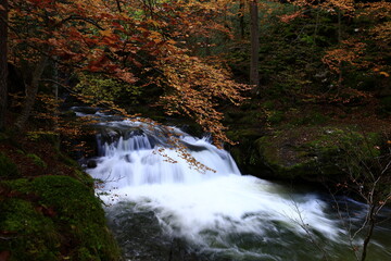 The Natural Park of Sierra de Cebollera is one of the two natural areas of Riojas ,  located in the municipality of Villoslada de Cameros