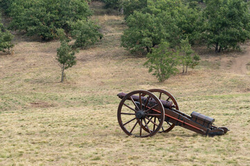 19th century hungarian cannon in a green field