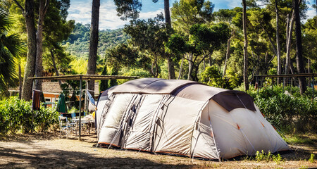 Tourist tent in forest camp among meadow - 750968237