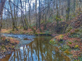 river in forest. River landscape.