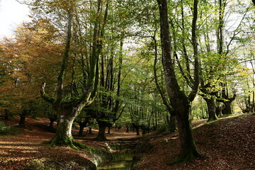 The Gorbeia Natural Park is the largest natural park in the Basque Country, Spain