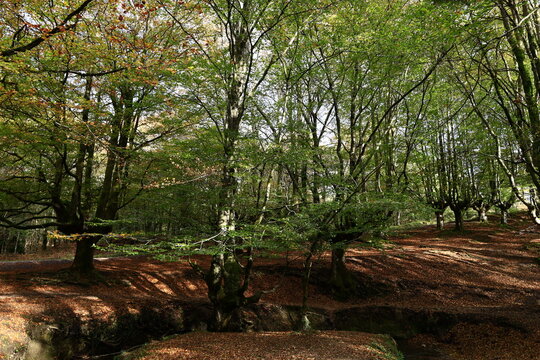 The Gorbeia Natural Park is the largest natural park in the Basque Country, Spain