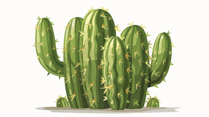 Cactus green plant isolated illustration isolated on