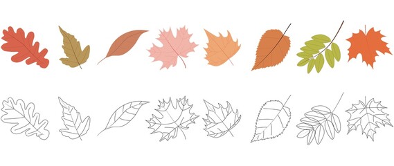 Flat illustration. Set of icons of autumn leaves and in color. Autumn leaves isolated on white background. Set of icons...