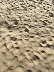 ripples in the sand