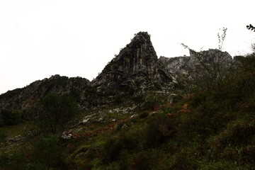 The Picos de Europa National Park is a National Park in the Picos de Europa mountain range, in northern Spain