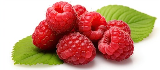 A group of ripe raspberries is displayed on a white background. The raspberries are vibrant red and are accompanied by green leaves.