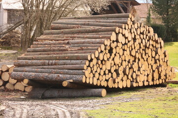 A pile of logs is stacked in a field - 750999081