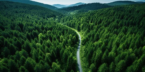 Foto op Plexiglas Aerial top view of car and truck driving on highway road in green forest. Sustainable transport. Drone view of hydrogen energy truck and electric vehicle driving on asphalt road through green © Влада Яковенко