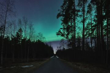 Forest asphalt road through the forest in spring at night with a starry sky and northern lights.