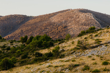 Ancient wall of Ostrica in Grabastica bay view