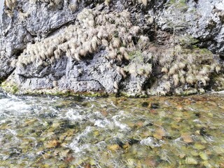 river in the mountain