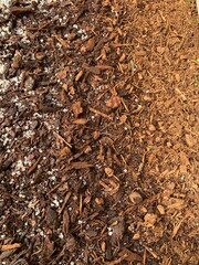 Wet bark with hail