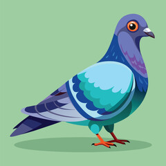 pigeon vector illustration
