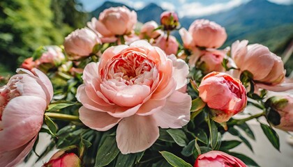 bouquet of peony pink roses of juliet coral flowers floral background