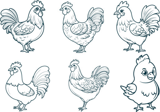 Chicken hand drawn set coloring page and outline vector design
