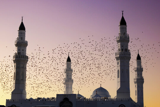 The Quba Mosque is a mosque located in Medina, in the Hejazi region of Saudi Arabia, built in the lifetime of the Islamic prophet Muhammad in the 7th century.