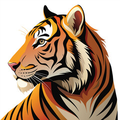 Tiger vector illustration