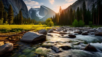Foto auf Acrylglas Panoramic view of a mountain river in Yosemite National Park, California, USA © Iman