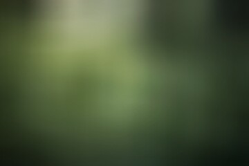 Light wavy green abstract texture background