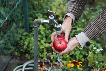 Hands of middle aged woman washing red apple under  the water jet flowing from the tap in garden.
