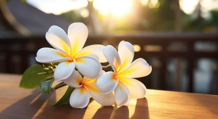 Fototapeten a group of white flowers on a table © sam