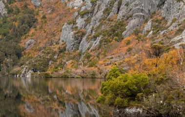 Crédence de cuisine en verre imprimé Mont Cradle Crater lake , Cradle mountain national park,Tasmania, mountain rocks and autumn colored fagus reflecting into the lake