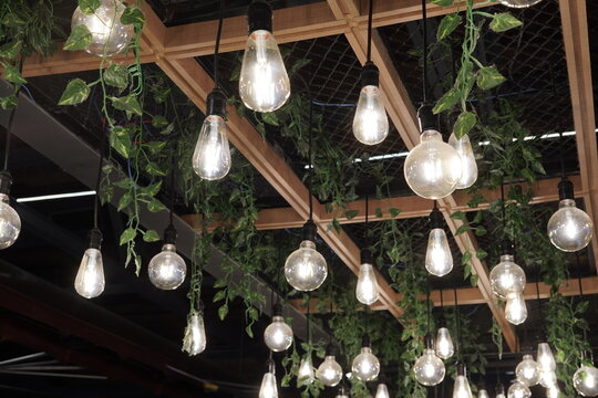 Lampadas Ideias Decora&ccedil;&atilde;o Gardem Verde Luz