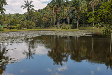 natural lake with water mirror and nature around. water mirror on a beautiful day in nature and in the open air.