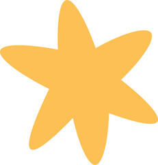 Star Shape Icon