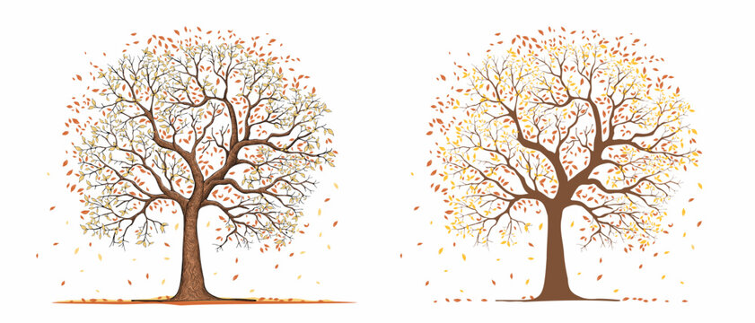 Tree in four seasons - autumn