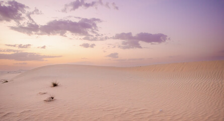 desert landscape with dunes for banner background postcard screensaver desktop wallpaper